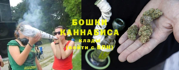 хмурый Абаза