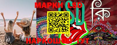 прущие крисы Камышлов