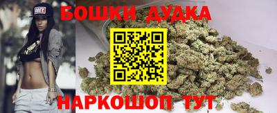 прущие крисы Камышлов