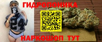 прущие крисы Камышлов