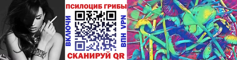 Галлюциногенные грибы мицелий ОМГ ОМГ ONION Торжок