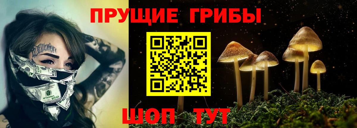 Псилоцибиновые грибы Psilocybine cubensis  Галлюциногенные грибы прущие грибы  Торжок  Вход с VPN 
