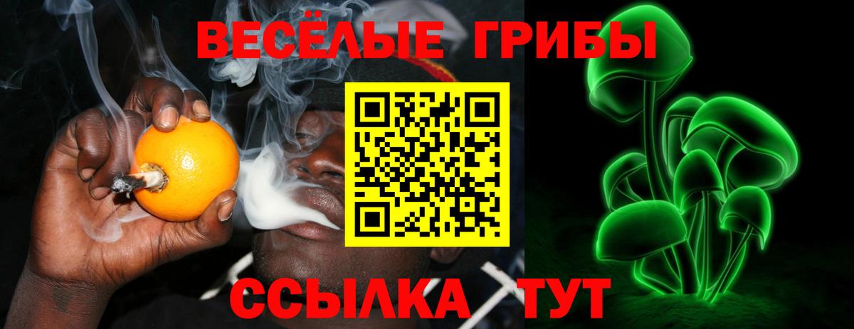Псилоцибиновые грибы GOLDEN TEACHER Торжок