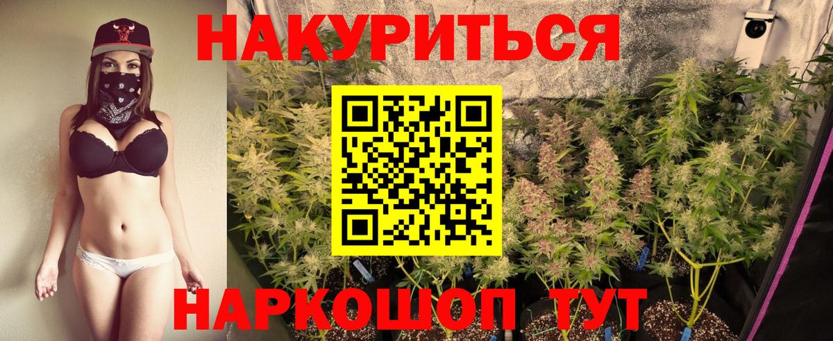 Бошки Шишки THC 21%  Вход с VPN  Марихуана сатива  Торжок  МАРИХУАНА гибрид 